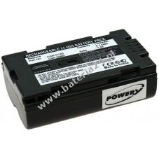 Bateria do Panasonic DZ-MX5000 1100mAh